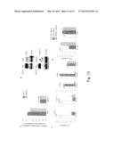 MODULATION OF CYTOKINE-INDUCED CHRONIC INFLAMMATORY RESPONSES diagram and image