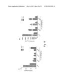 MODULATION OF CYTOKINE-INDUCED CHRONIC INFLAMMATORY RESPONSES diagram and image