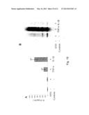 MODULATION OF CYTOKINE-INDUCED CHRONIC INFLAMMATORY RESPONSES diagram and image