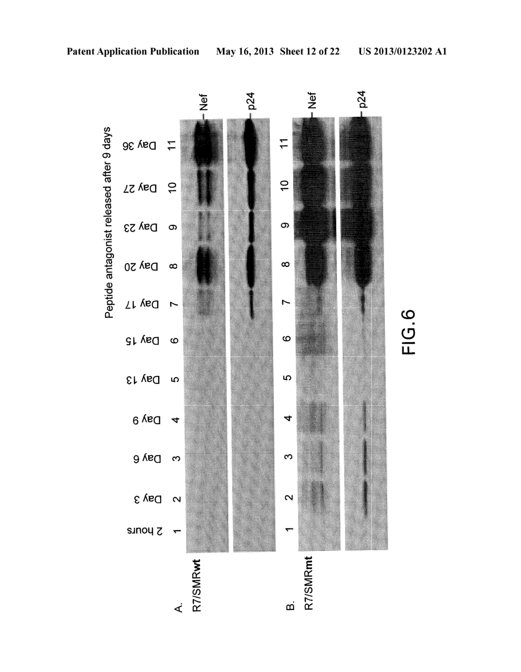 COMPOSITIONS AND METHODS FOR TREATING AIDS OR CANCER BY INHIBITING THE     SECRETION OF MICROPARTICLES - diagram, schematic, and image 13