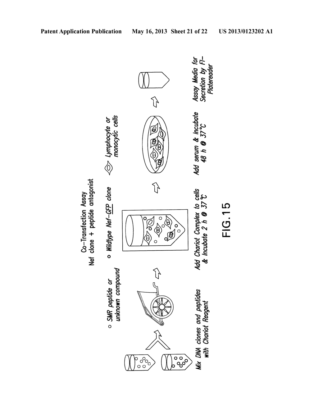 COMPOSITIONS AND METHODS FOR TREATING AIDS OR CANCER BY INHIBITING THE     SECRETION OF MICROPARTICLES - diagram, schematic, and image 22
