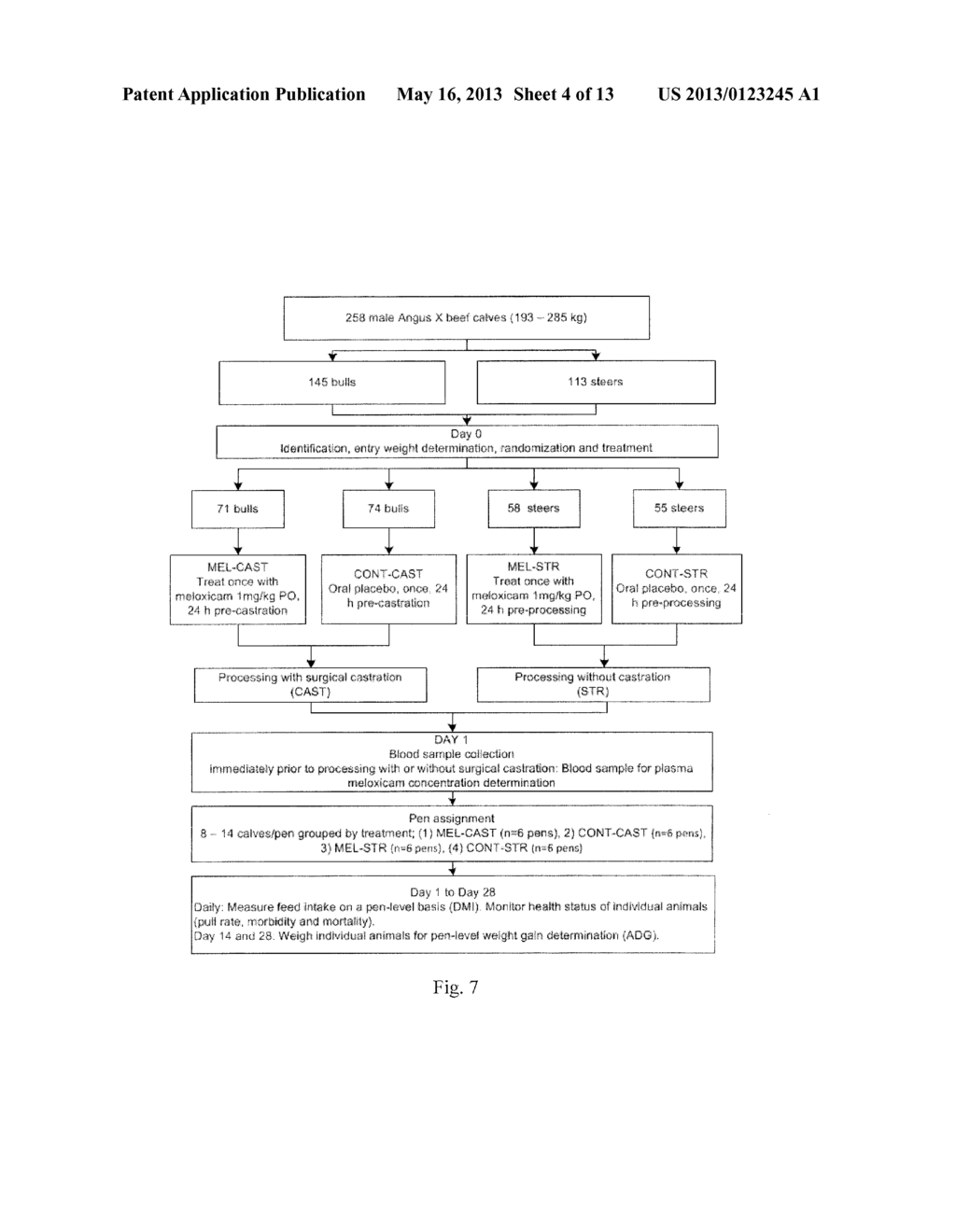 METHODS FOR ALLEVIATING CHRONIC PAIN AND IMPROVING PERFORMANCE OF CATTLE     UNDERGOING DEHORNING OR CASTRATION - diagram, schematic, and image 05