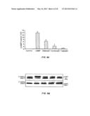 COMPOSITIONS AND METHODS FOR TREATMENT OF INFLAMMATORY BOWEL DISORDERS AND     INTESTINAL CANCERS diagram and image