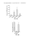 COMPOSITIONS AND METHODS FOR TREATMENT OF INFLAMMATORY BOWEL DISORDERS AND     INTESTINAL CANCERS diagram and image