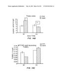 COMPOSITIONS AND METHODS FOR TREATMENT OF INFLAMMATORY BOWEL DISORDERS AND     INTESTINAL CANCERS diagram and image