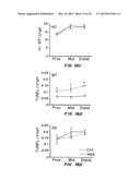 COMPOSITIONS AND METHODS FOR TREATMENT OF INFLAMMATORY BOWEL DISORDERS AND     INTESTINAL CANCERS diagram and image