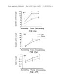 COMPOSITIONS AND METHODS FOR TREATMENT OF INFLAMMATORY BOWEL DISORDERS AND     INTESTINAL CANCERS diagram and image