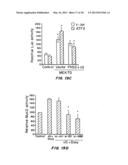 COMPOSITIONS AND METHODS FOR TREATMENT OF INFLAMMATORY BOWEL DISORDERS AND     INTESTINAL CANCERS diagram and image