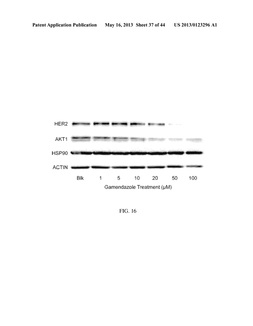 LONIDAMINE ANALOGUES FOR FERTILITY MANAGEMENT - diagram, schematic, and image 38