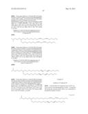 COMPOSITIONS AND METHODS FOR SILENCING APOLIPOPROTEIN B diagram and image