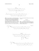 COMPOSITIONS AND METHODS FOR SILENCING APOLIPOPROTEIN B diagram and image