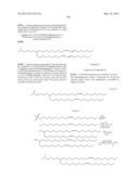 COMPOSITIONS AND METHODS FOR SILENCING APOLIPOPROTEIN B diagram and image