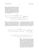 COMPOSITIONS AND METHODS FOR SILENCING APOLIPOPROTEIN B diagram and image