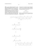 COMPOSITIONS AND METHODS FOR SILENCING APOLIPOPROTEIN B diagram and image