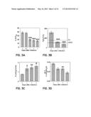 METHOD OF TREATING A VIRAL INFECTION DYSFUNCTION BY DISRUPTING AN     ADENOSINE RECEPTOR PATHWAY diagram and image