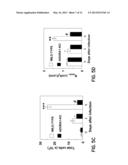 METHOD OF TREATING A VIRAL INFECTION DYSFUNCTION BY DISRUPTING AN     ADENOSINE RECEPTOR PATHWAY diagram and image