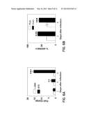 METHOD OF TREATING A VIRAL INFECTION DYSFUNCTION BY DISRUPTING AN     ADENOSINE RECEPTOR PATHWAY diagram and image