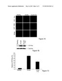 USE OF FTS AND ANALOGS TO TREAT NON-AUTOIMMUNE-ALLERGIC AND NON-ALLERGIC     INFLAMMATORY CONDITIONS diagram and image