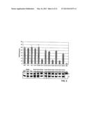 Soluble TNF Receptors and Their Use in Treatment of Disease diagram and image