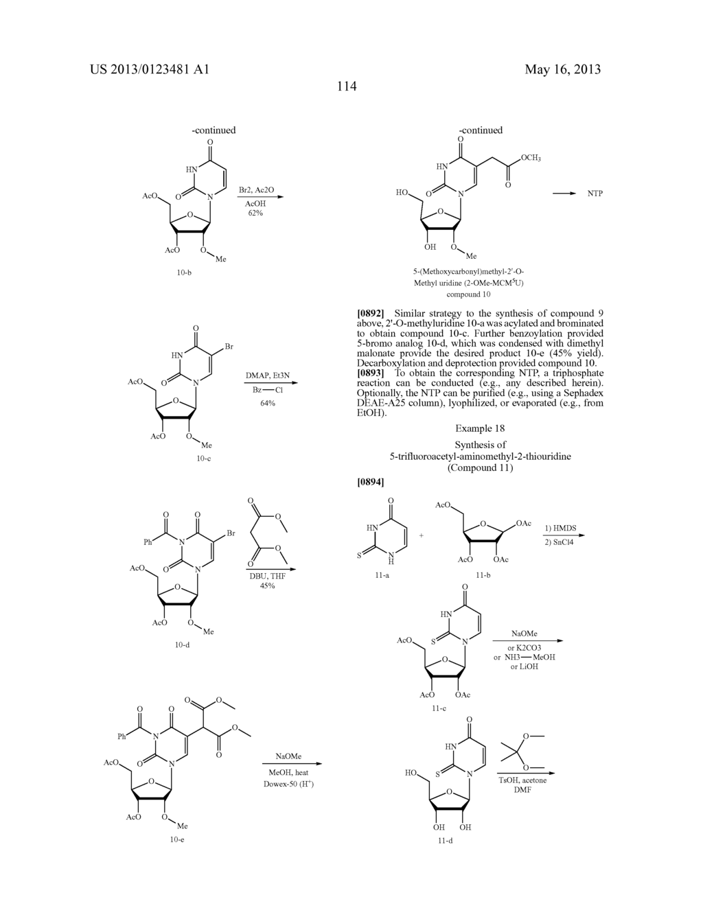MODIFIED NUCLEOSIDES, NUCLEOTIDES, AND NUCLEIC ACIDS, AND USES THEREOF - diagram, schematic, and image 135