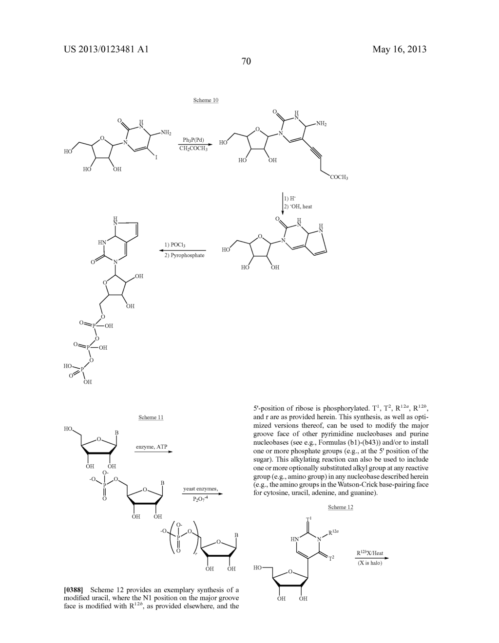 MODIFIED NUCLEOSIDES, NUCLEOTIDES, AND NUCLEIC ACIDS, AND USES THEREOF - diagram, schematic, and image 91