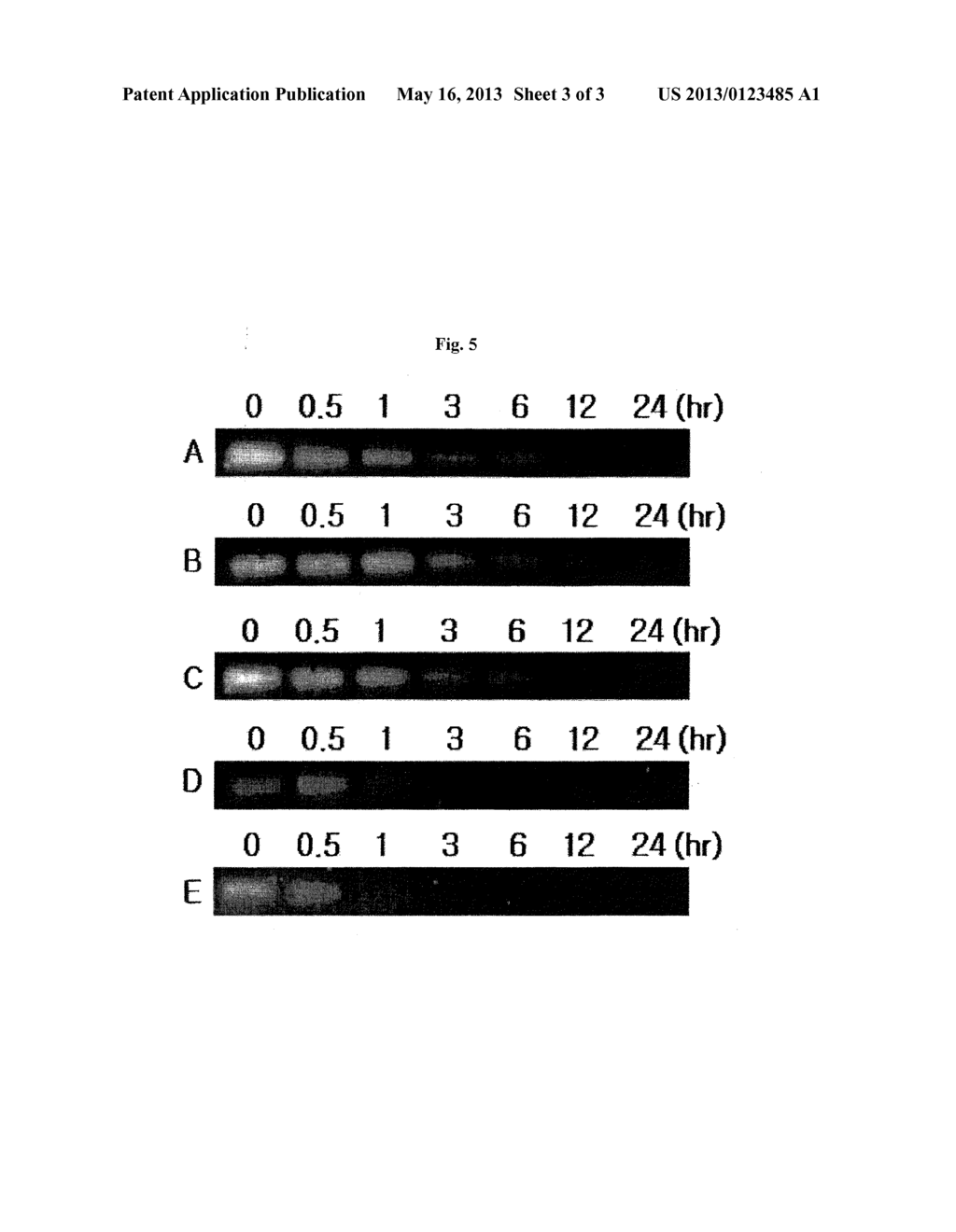 CATIONIC LIPIDS, METHODS FOR PREPARING THE SAME, AND DELIVERY SYSTEMS     HAVING ABILITY TO TRANSITION INTO CELLS COMPRISING THE SAME - diagram, schematic, and image 04