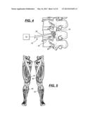 METHOD OF ASSESSING NEURAL FUNCTION diagram and image