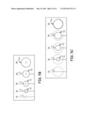 CATHETER APPARATUS diagram and image