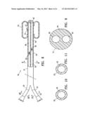 TEMPORARY CATHETER FOR BIOPSY SITE TISSUE FIXATION diagram and image