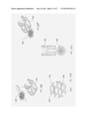 Corneal Implant Storage and Delivery Devices diagram and image