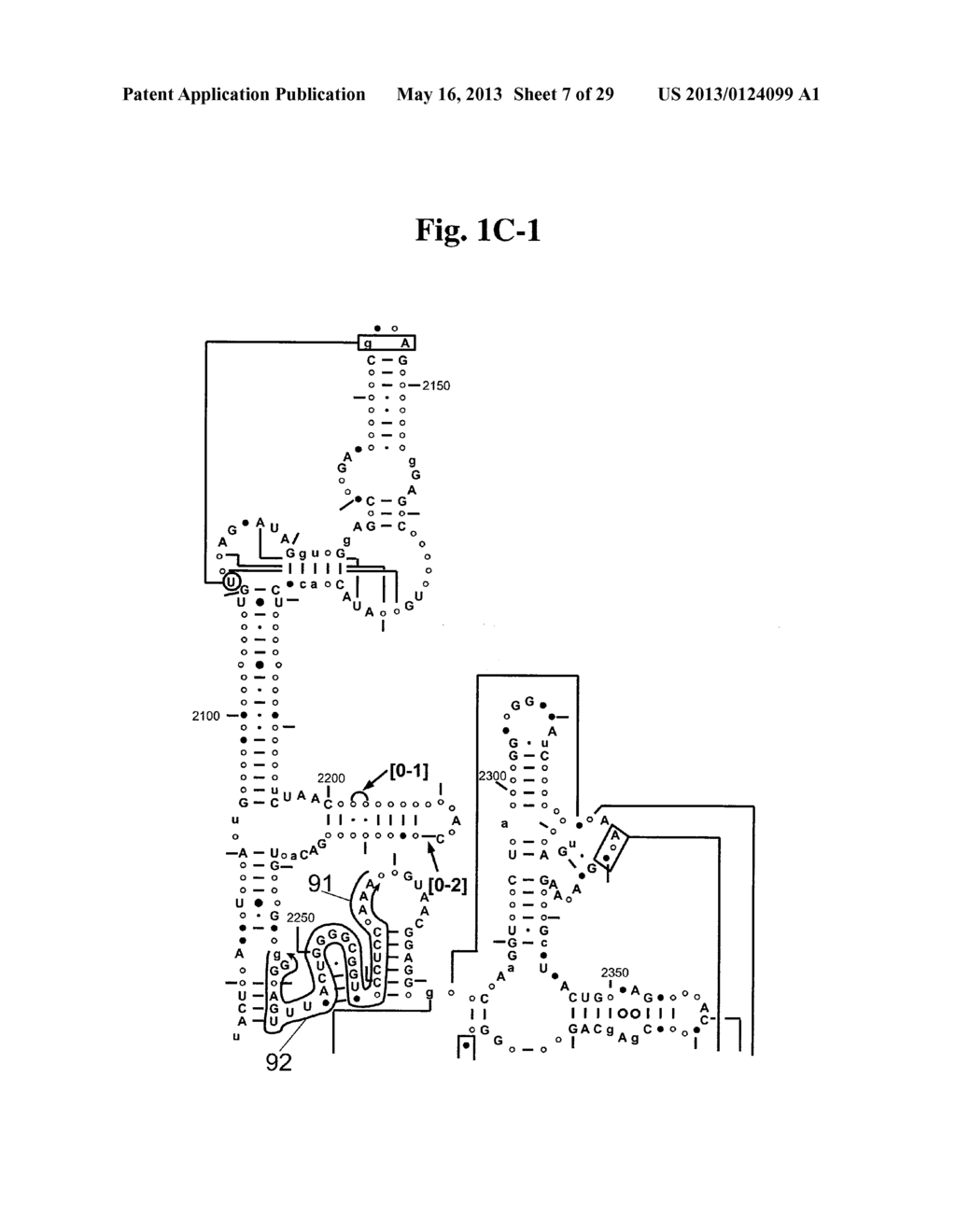 SECONDARY STRUCTURE DEFINING DATABASE AND METHODS FOR DETERMINING IDENTITY     AND GEOGRAPHIC ORIGIN OF AN UNKNOWN BIOAGENT THEREBY - diagram, schematic, and image 08