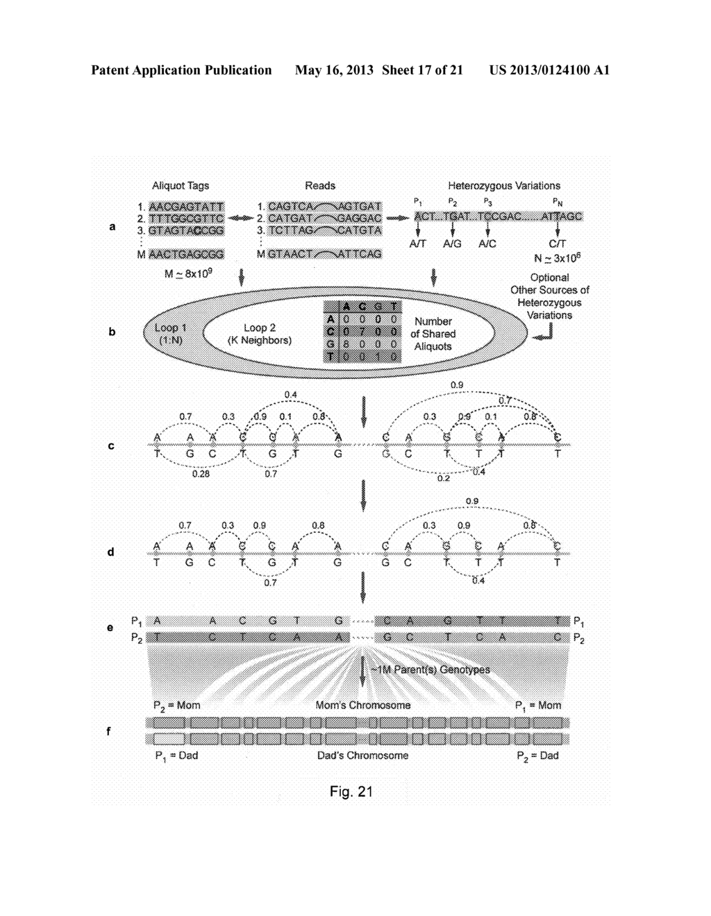 Processing and Analysis of Complex Nucleic Acid Sequence Data - diagram, schematic, and image 18