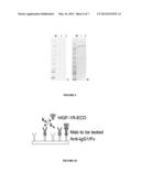 NOVEL ANTI-IGF-IR ANTIBODIES AND USES THEREOF diagram and image