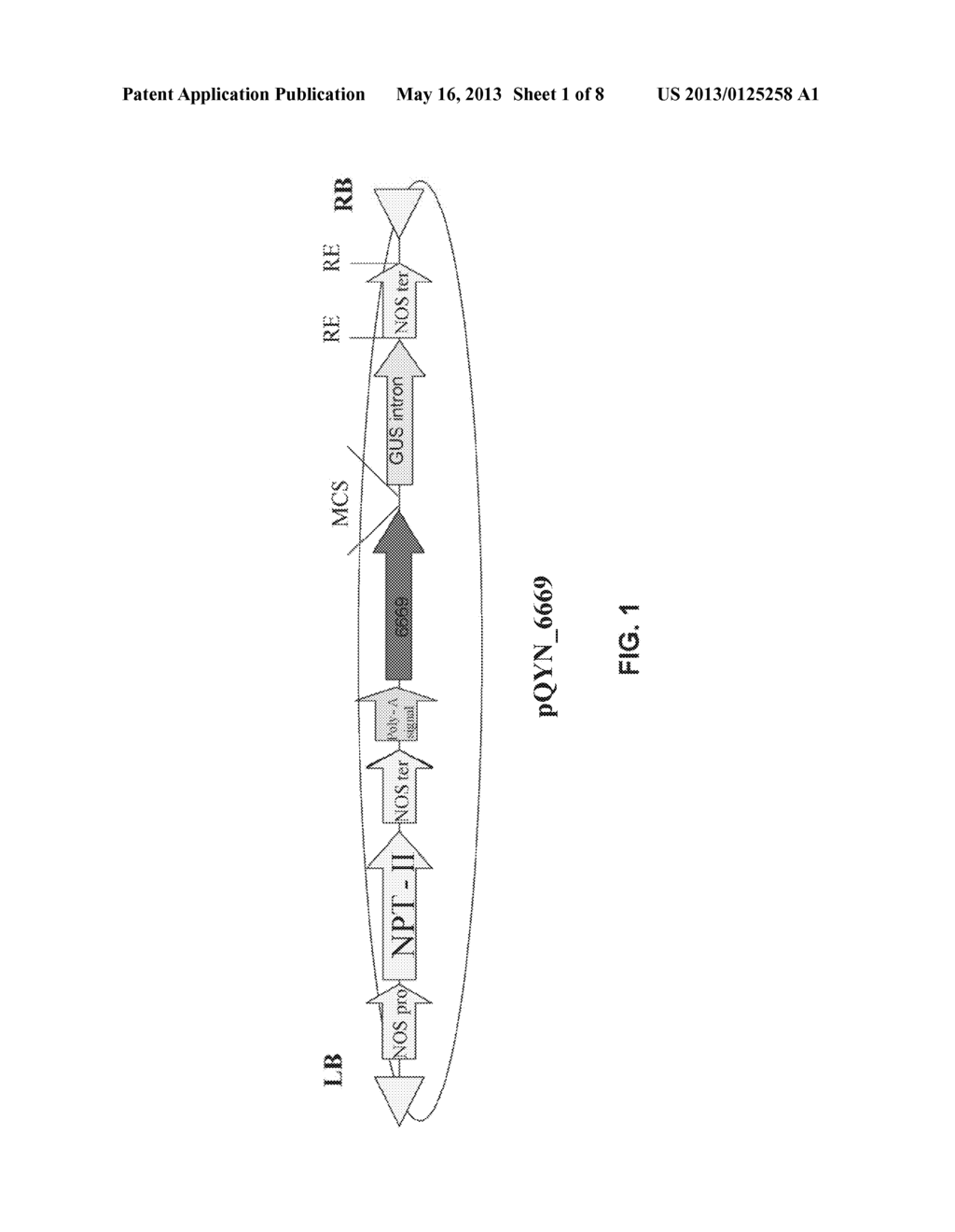 ISOLATED POLYNUCLEOTIDES AND POLYPEPTIDES FOR INCREASING PLANT YIELD     AND/OR AGRICULTURAL CHARACTERISTICS - diagram, schematic, and image 02