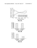 FABRICATION OF CATALYST COATED ELECTRODE SUBSTRATE WITH LOW LOADINGS USING     DIRECT SPRAY METHOD diagram and image