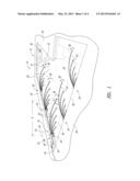 SKIMMING SYSTEMS AND METHODS diagram and image