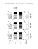 SYSTEMS AND METHODS FOR READING COLOR OPTICAL CODES diagram and image