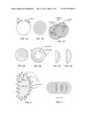 Separating Water from Pigment in Procedural Painting Algorithms diagram and image