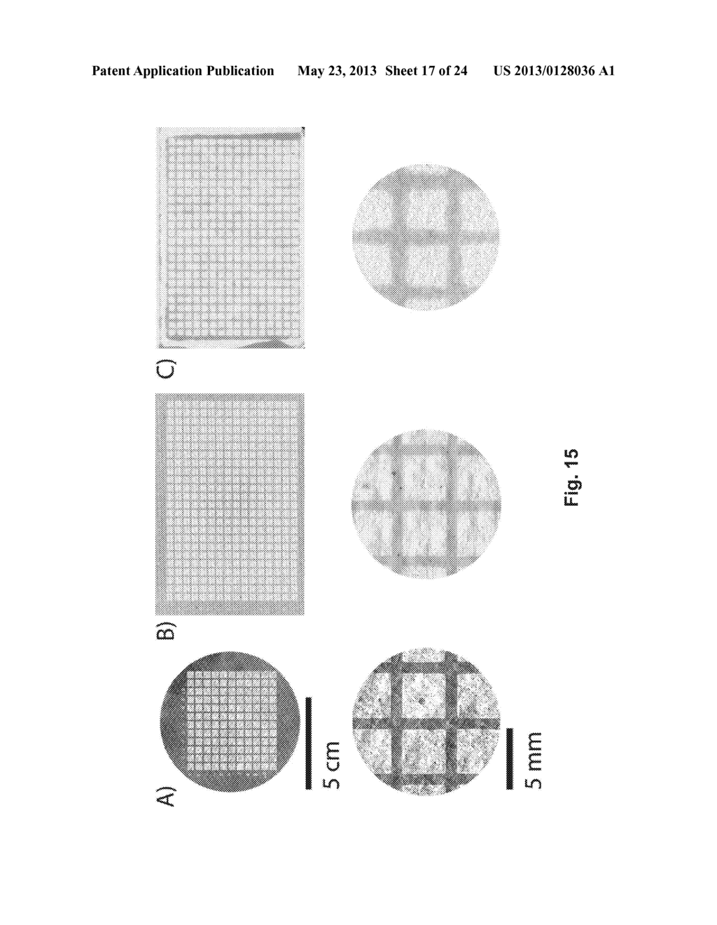 Lateral Flow and Flow-through Bioassay Devices Based on Patterned Porous     Media, Methods of Making Same, and Methods of Using Same - diagram, schematic, and image 18