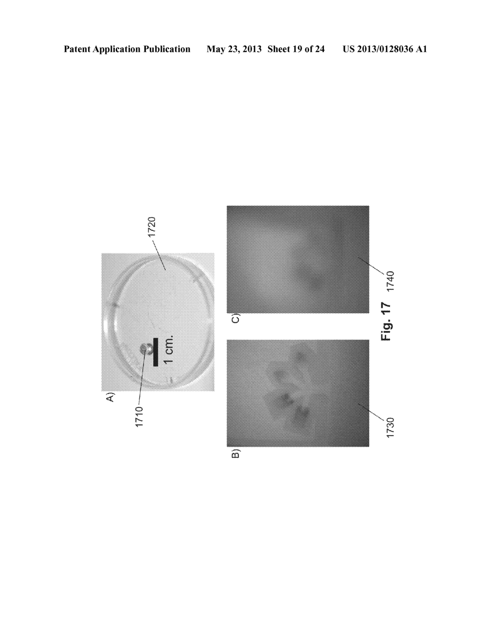 Lateral Flow and Flow-through Bioassay Devices Based on Patterned Porous     Media, Methods of Making Same, and Methods of Using Same - diagram, schematic, and image 20