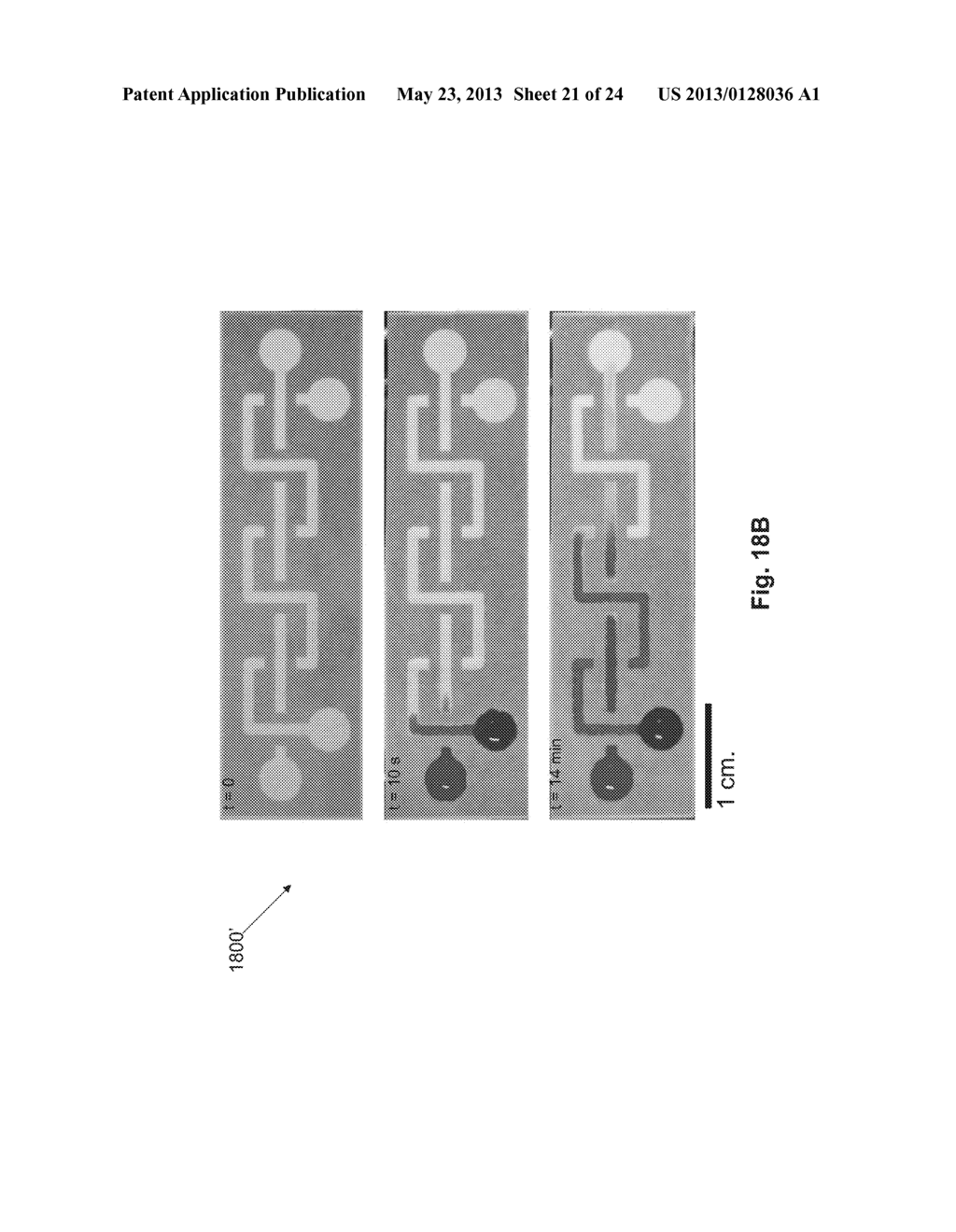 Lateral Flow and Flow-through Bioassay Devices Based on Patterned Porous     Media, Methods of Making Same, and Methods of Using Same - diagram, schematic, and image 22
