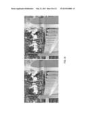 Methods and Apparatus for Reducing Plenoptic Camera Artifacts diagram and image