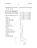 METHOD AND DEVICE FOR CODEBOOK GENERATION AND DOWNLINK SIGNAL TRANSMISSION     IN A WIRELESS COMMUNICATION SYSTEM SUPPORTING MULTIPLE ANTENNAS diagram and image