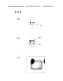 IMAGE PROCESSING APPARATUS AND IMAGE PROCESSING PROGRAM diagram and image