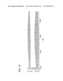 PLANAR OPTICAL WAVEGUIDE ELEMENT, CHROMATIC DISPERSION COMPENSATOR,     OPTICAL FILTER, OPTICAL RESONATOR AND METHODS FOR DESIGNING THE ELEMENT,     CHROMATIC DISPERSION COMPENSATOR, OPTICAL FILTER AND OPTICAL RESONATOR diagram and image