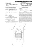 System and Method for Capsule Camera with On-Board Storage diagram and image