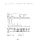 HYDROGEN/SYNGAS GENERATOR diagram and image