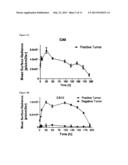 Molecular Imaging of Cancer Cells In Vivo diagram and image