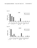 Molecular Imaging of Cancer Cells In Vivo diagram and image