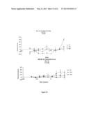 Novel Liposome Nanoparticles for Tumor Magnetic Resonance Imaging diagram and image